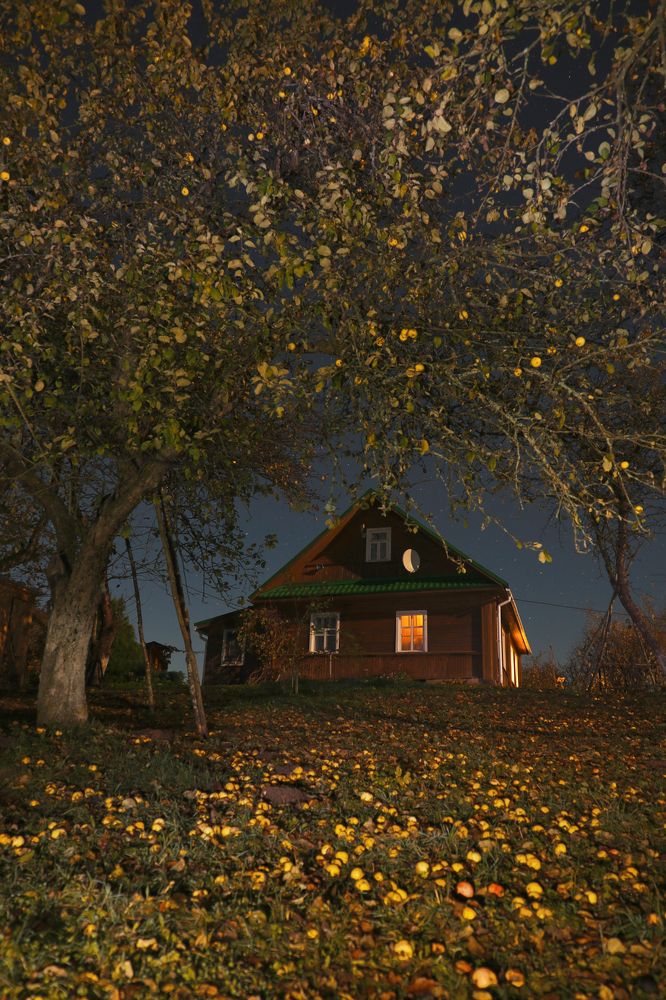 Photograph by Евгения Земскова