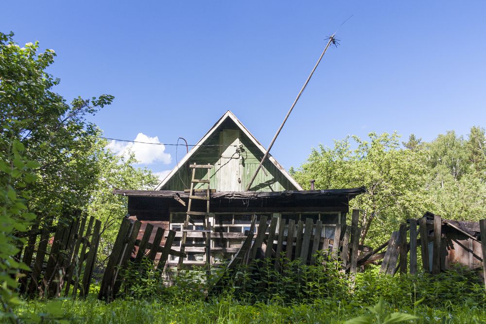 Photograph by Александр Гунин
