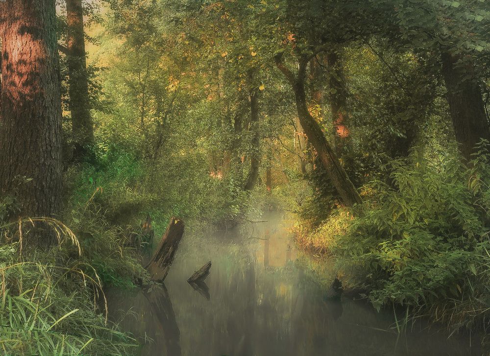 Photograph by Silyavin Nikita