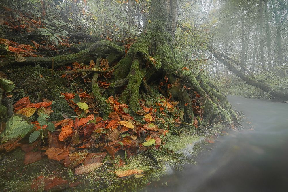 Photograph by Silyavin Nikita