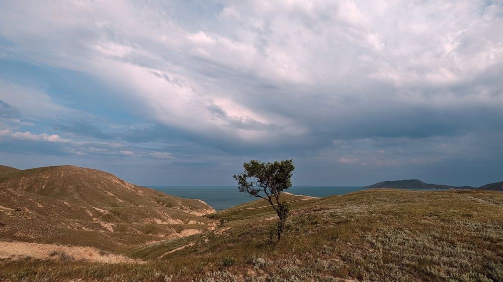 Photograph by Дмитрий Батагов