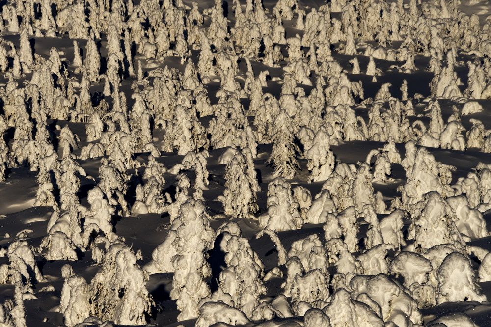 Photograph by  Gilgalen