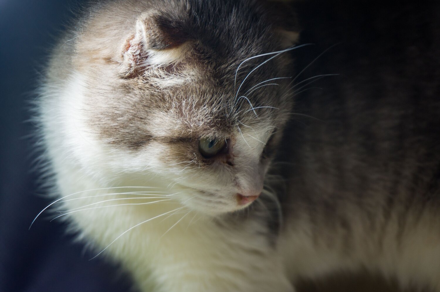 Photo #10181922