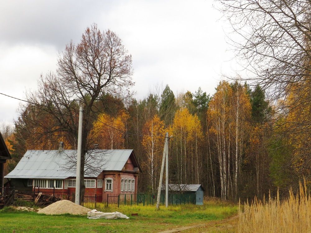 На краю деревни