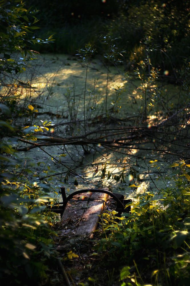 Photograph by Полина Хрол