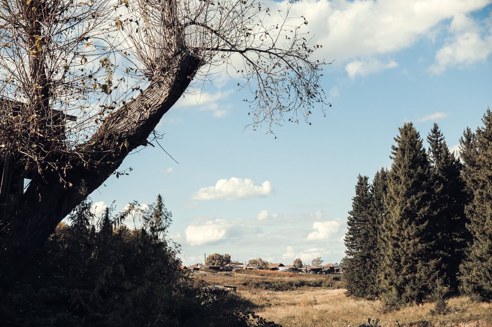 Photograph by Elena Kilina