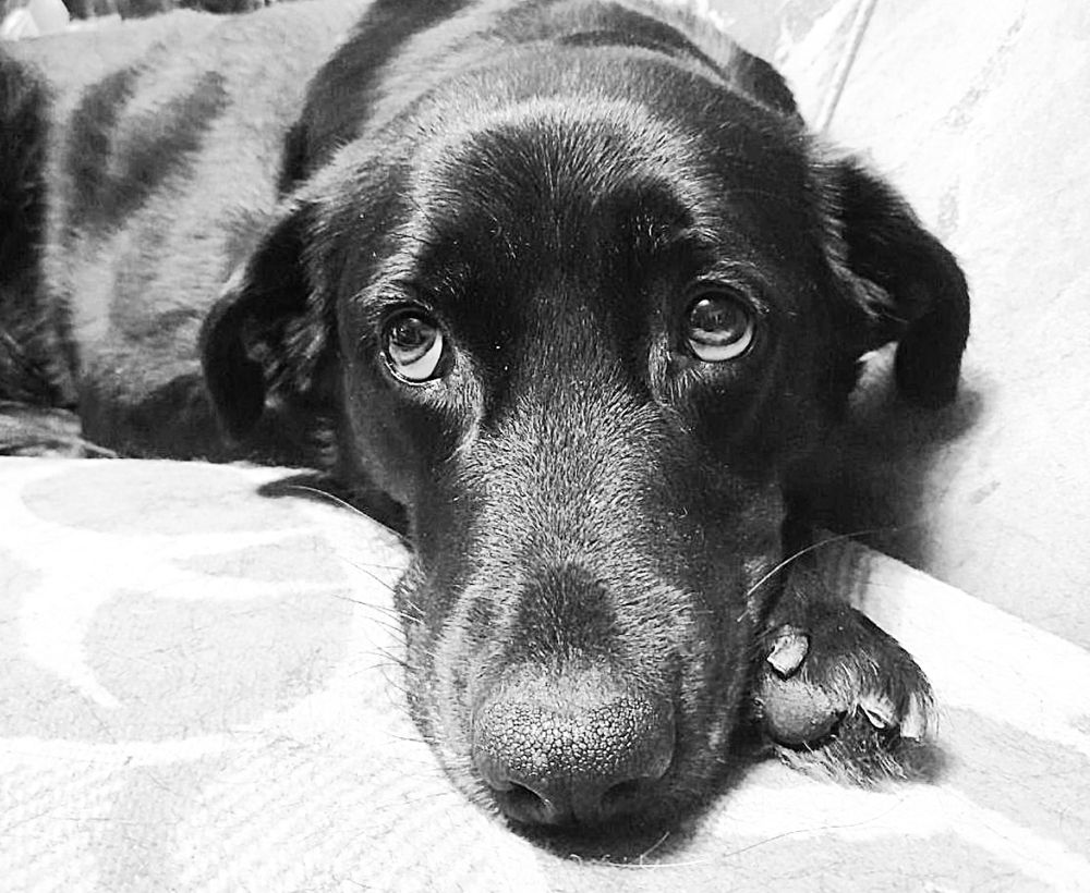 Фотография автора Владислава Андрюнина