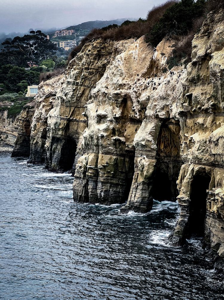 Фотография автора Veera Holdai