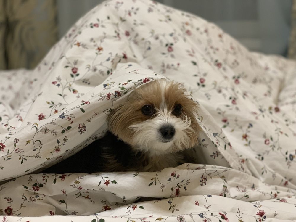 Милота в жизни