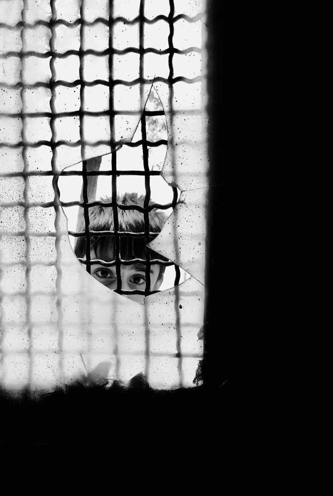 Photograph by mahshid abyar