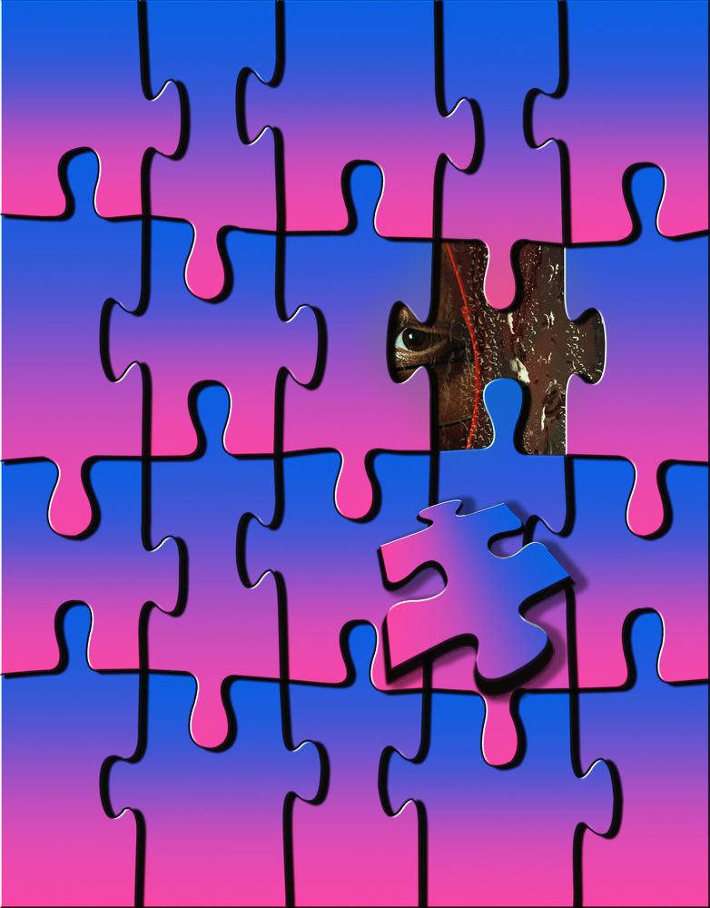 Собери ПАЗЛ.