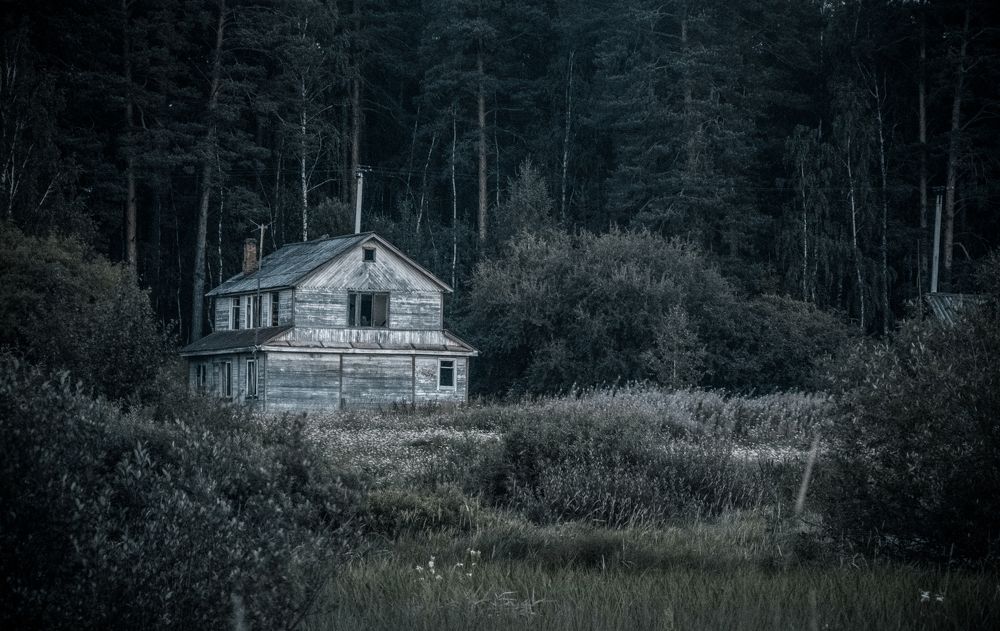 Photograph by Света Назарова