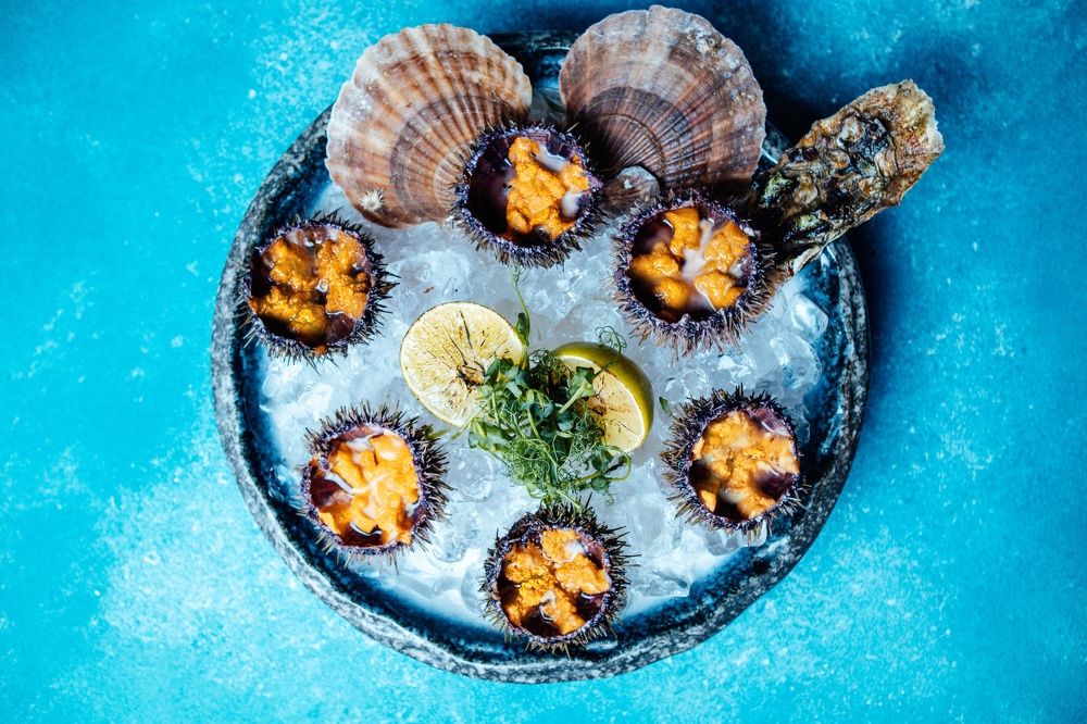 Photograph by Екатерина Степоненкова