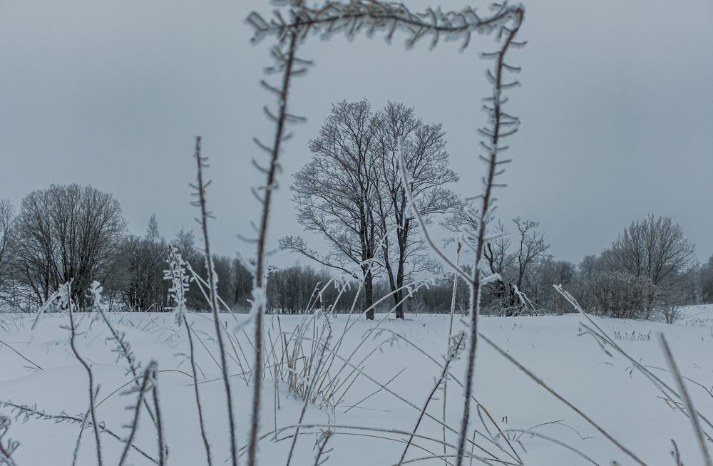 Фотография автора Швайко Михаил