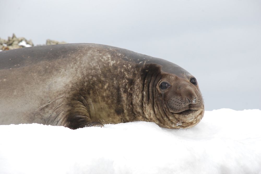 Photograph by Лев Синкин