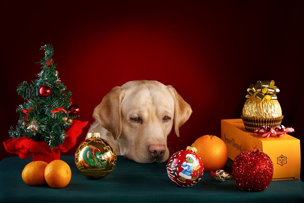 Photograph by Владимир Лиепин