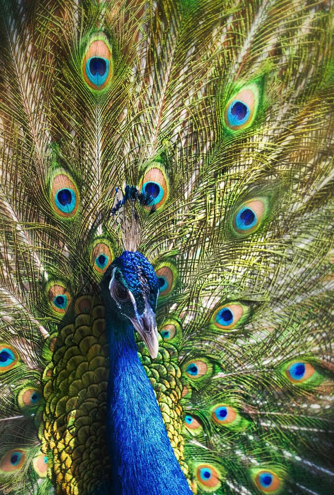 Photograph by Полина Хрол