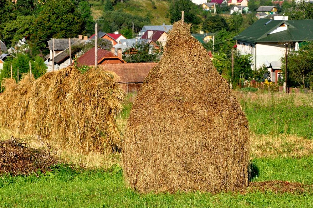 Photograph by Виктория Образцова