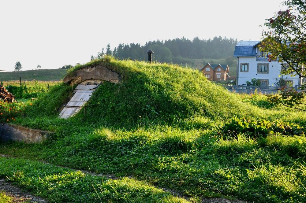 Photograph by Виктория Образцова