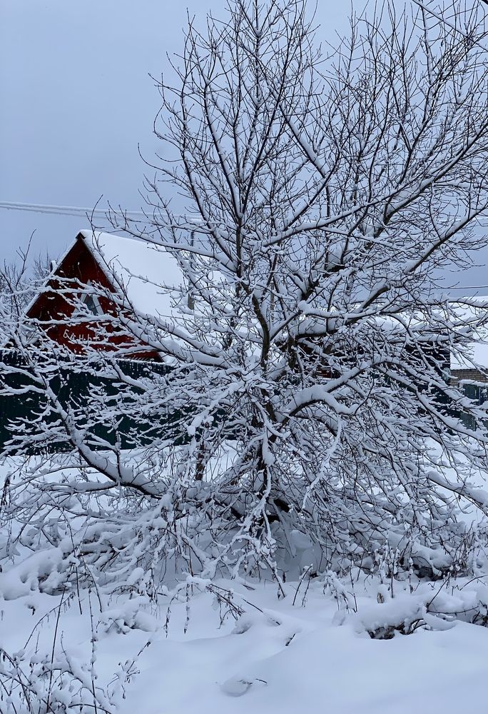 Photograph by Наталья Никитина