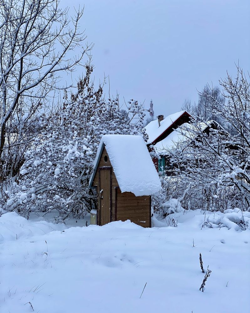 «Зима в Крестцах».
