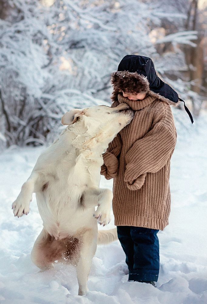 Photograph by Деева Елена