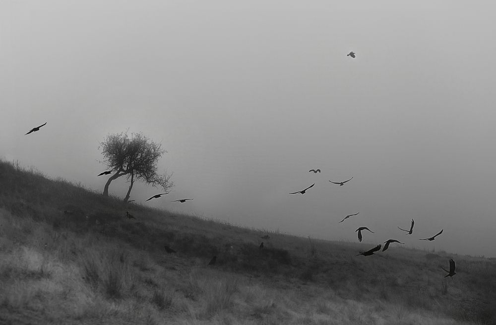 Photograph by Олег Крец