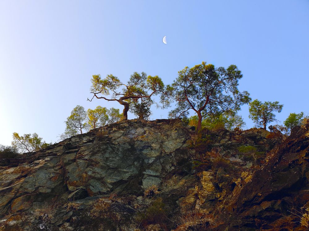 Изгибы природы