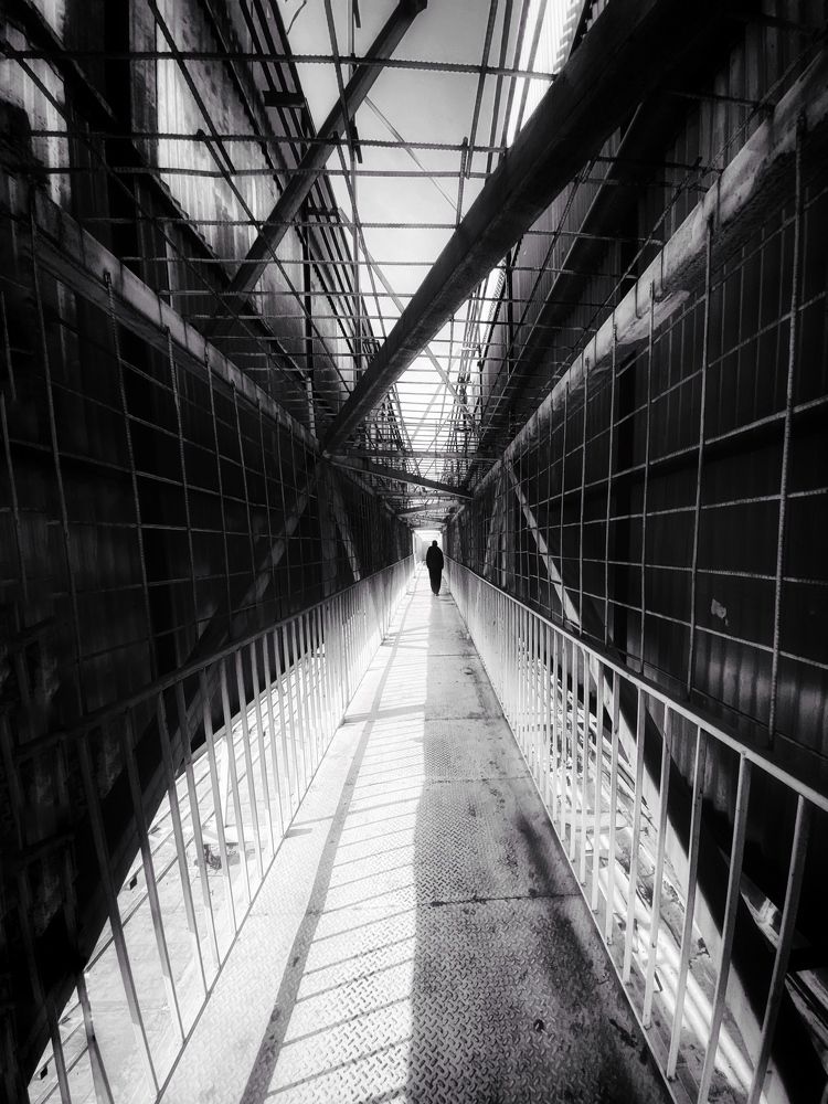 Photograph by mahshid abyar