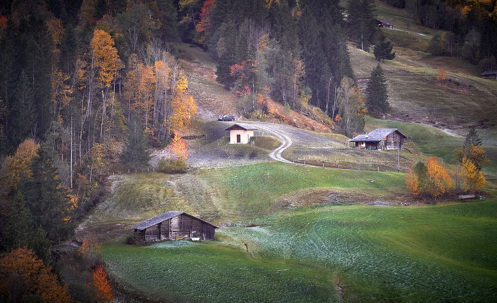 Photograph by Boris Bekelman