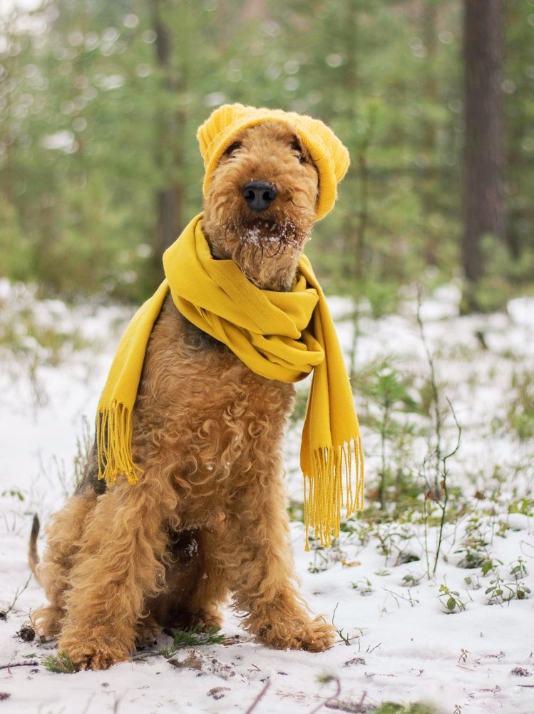 Photograph by Татьяна