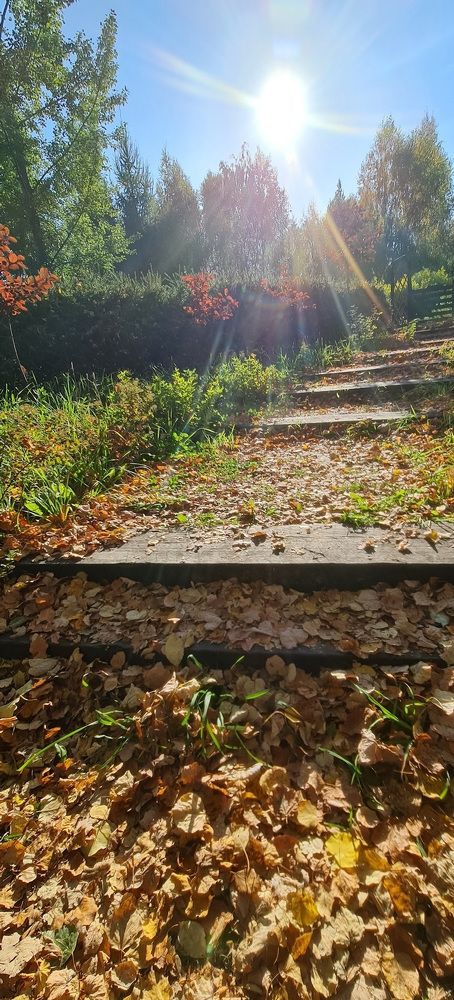 Photograph by Kim Natasha