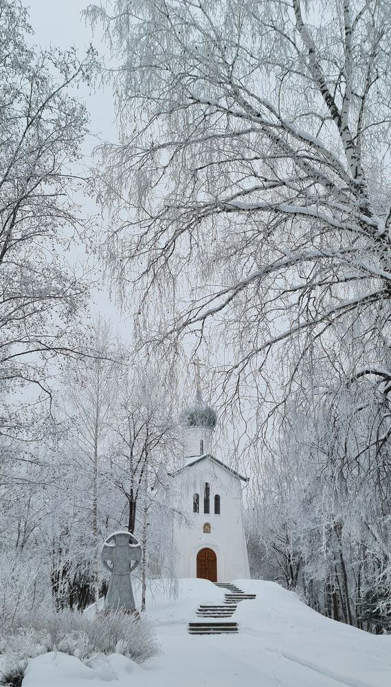 Photograph by Kim Natasha