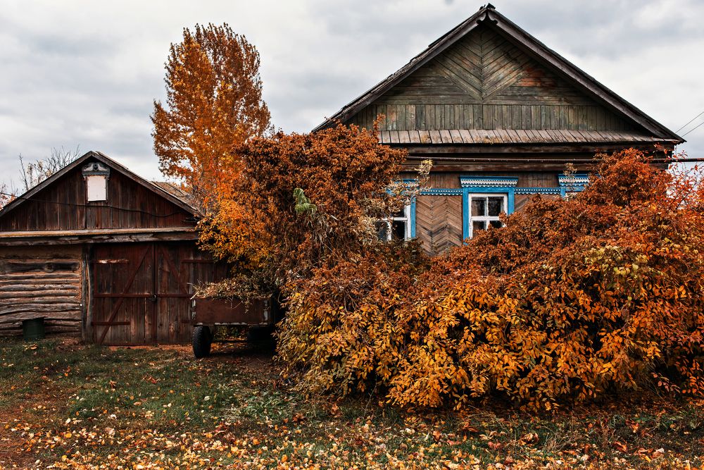 Photograph by Надежда Раскина