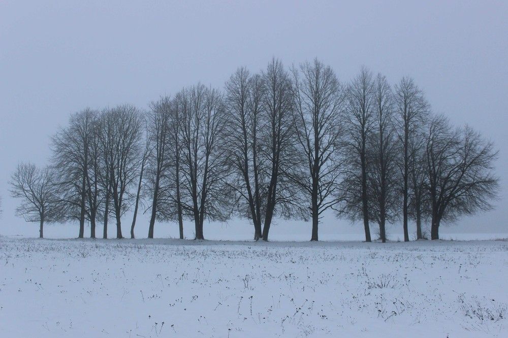 Photograph by Viktori@ smile