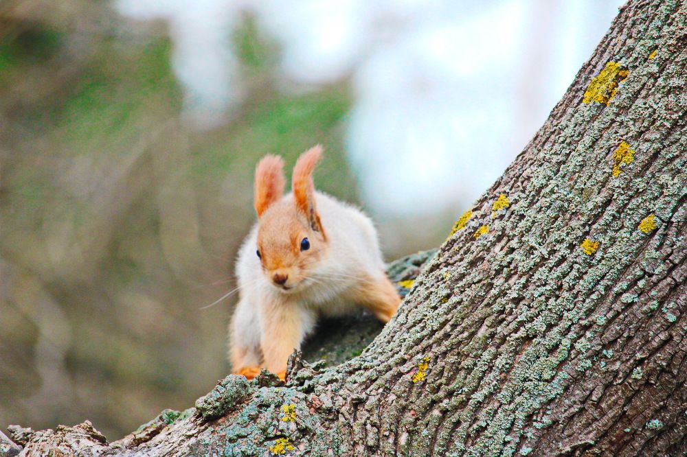 Photograph by Владислав Воровский