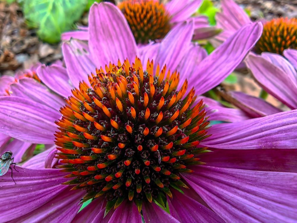 Photograph by Александр Максимов