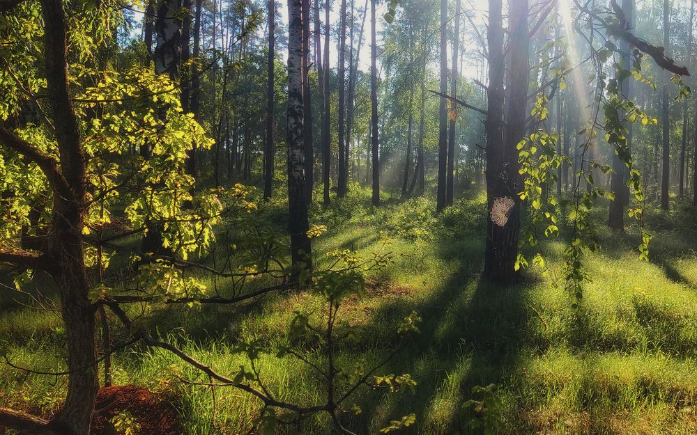 Photograph by Сергей Дишук