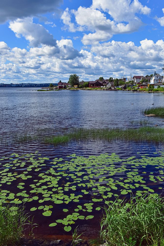 Photograph by Елена Амозова