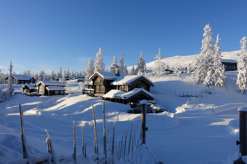 Photograph by Aleksandr Zaitsev