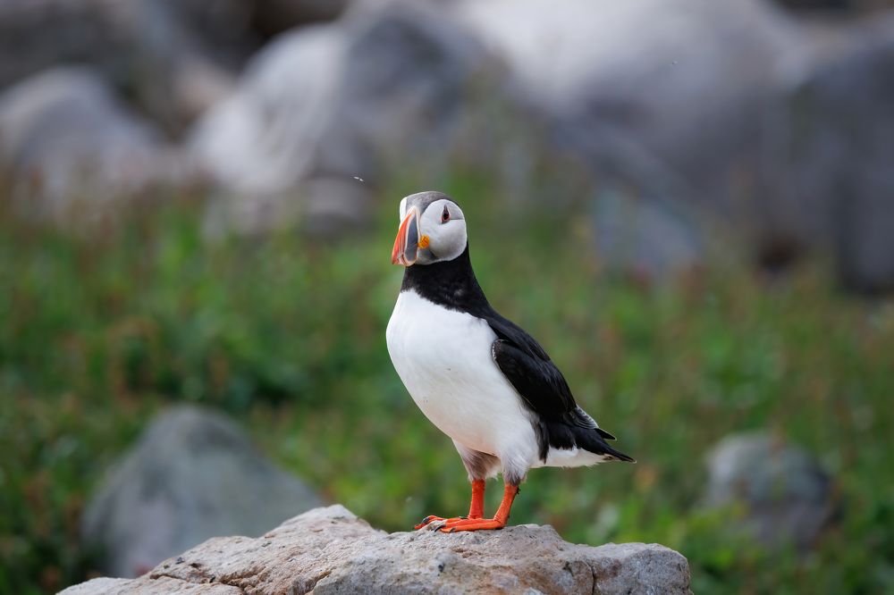 Photograph by Valentin Kolinko