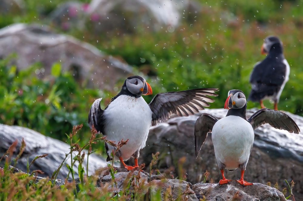 Photograph by Valentin Kolinko