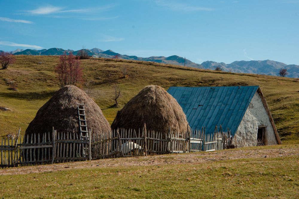 Photograph by Olesya Kulida