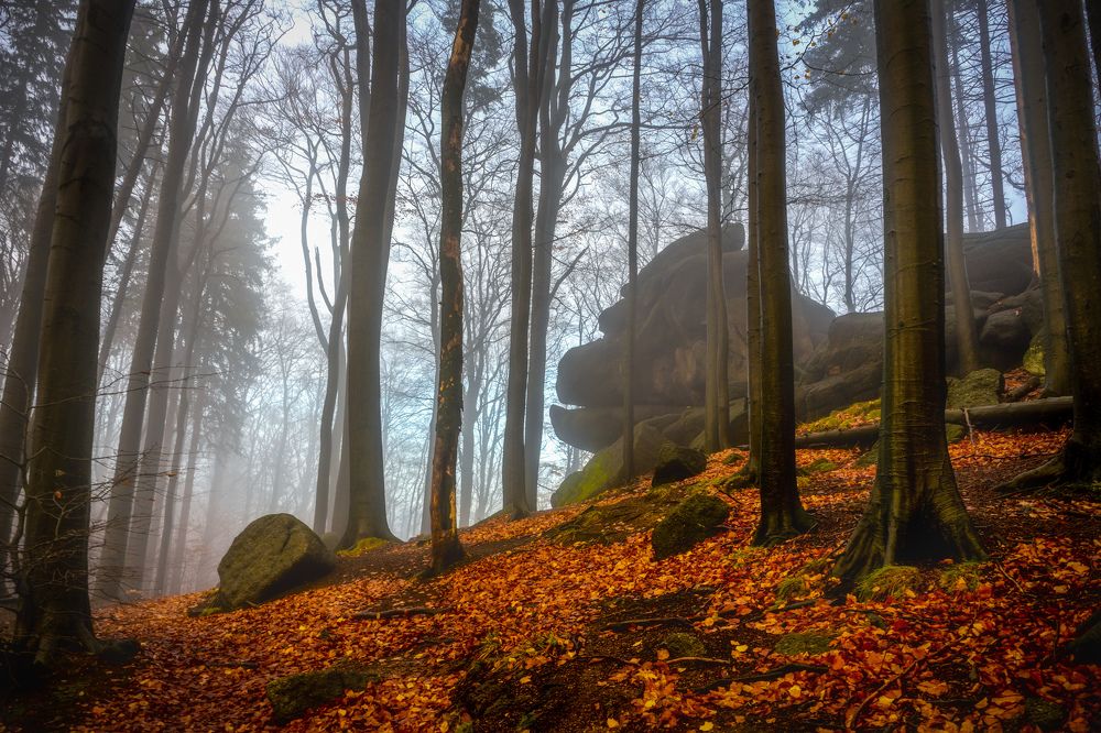 Photograph by Petr Musil