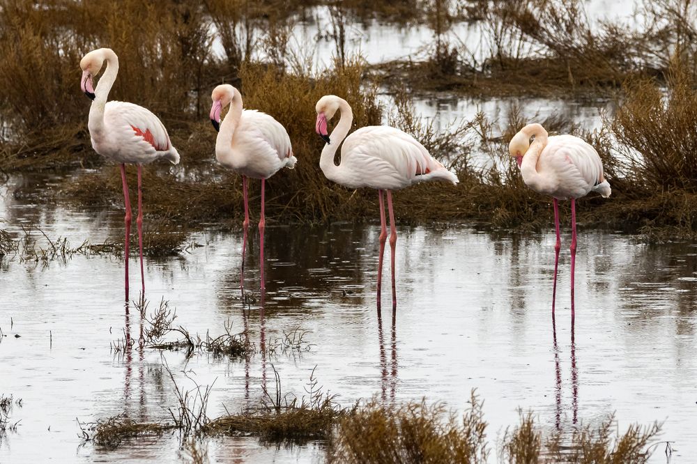 Photograph by Stamen Sotirov