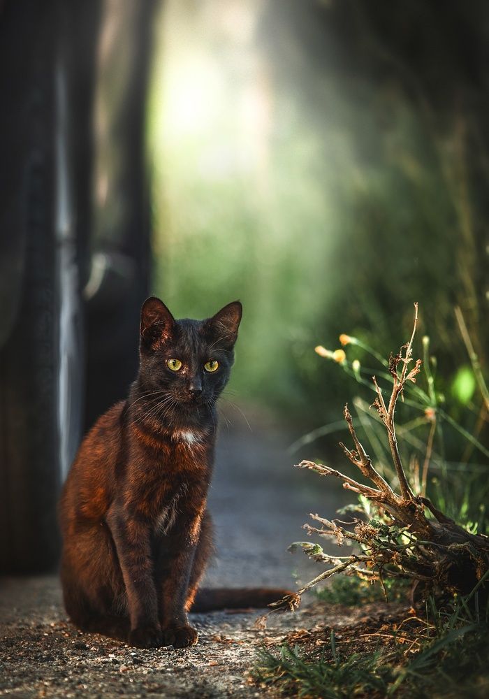 Photograph by Матвеева Наталия