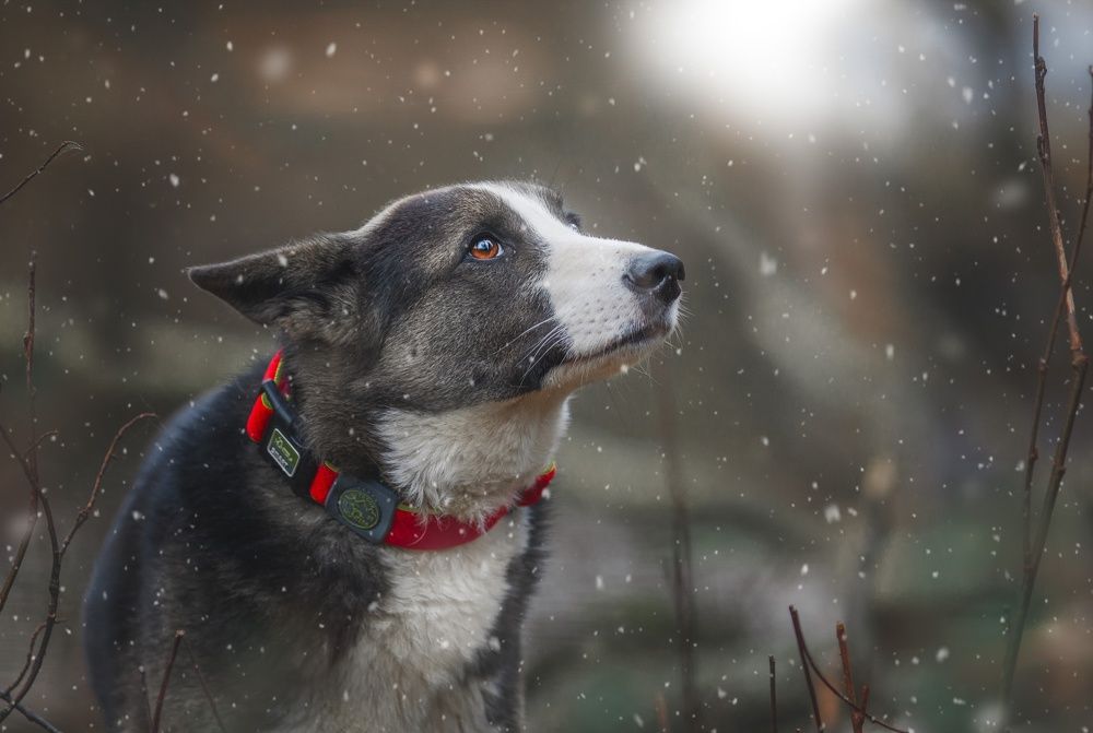 Photograph by Матвеева Наталия