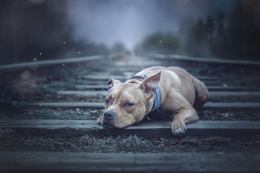 Photograph by Матвеева Наталия