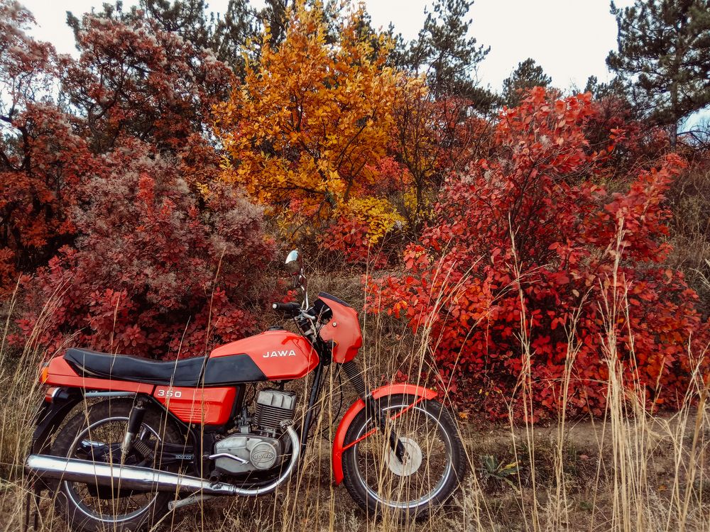 Photograph by Дмитрий Тютюнник