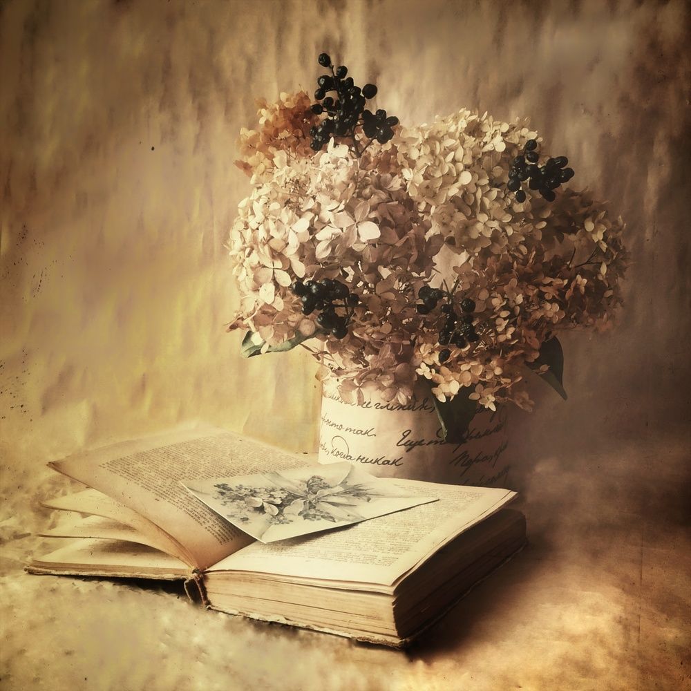 Photograph by Новикова Елена Сергеевна